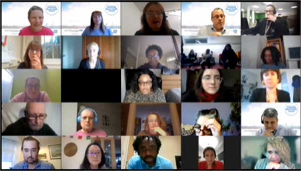 Screenshot of attendees of the Summit in their online meeting